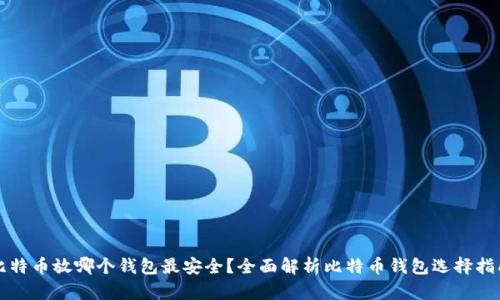 比特币放哪个钱包最安全？全面解析比特币钱包选择指南