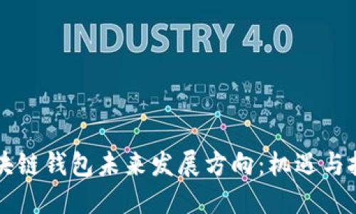 区块链钱包未来发展方向：机遇与挑战